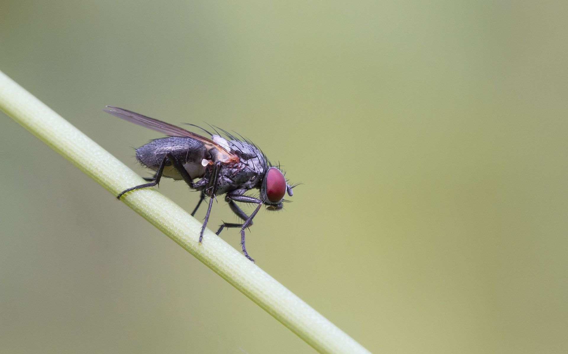 img_0145_nb_klein-jpg.289988