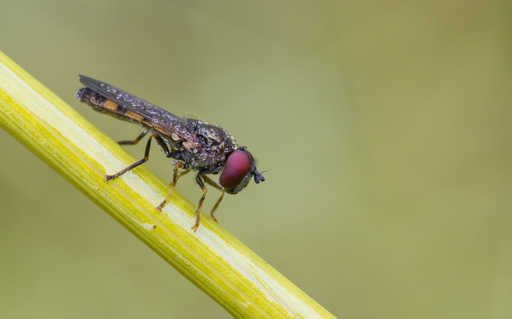 img_0154_nb_klein-jpg.290183