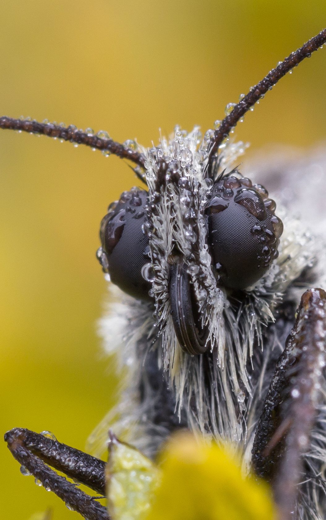 img_0204_nb_klein-jpg.290182