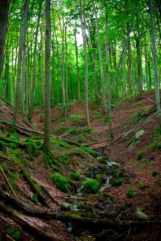 img_0639_hdr1-jpg.179200