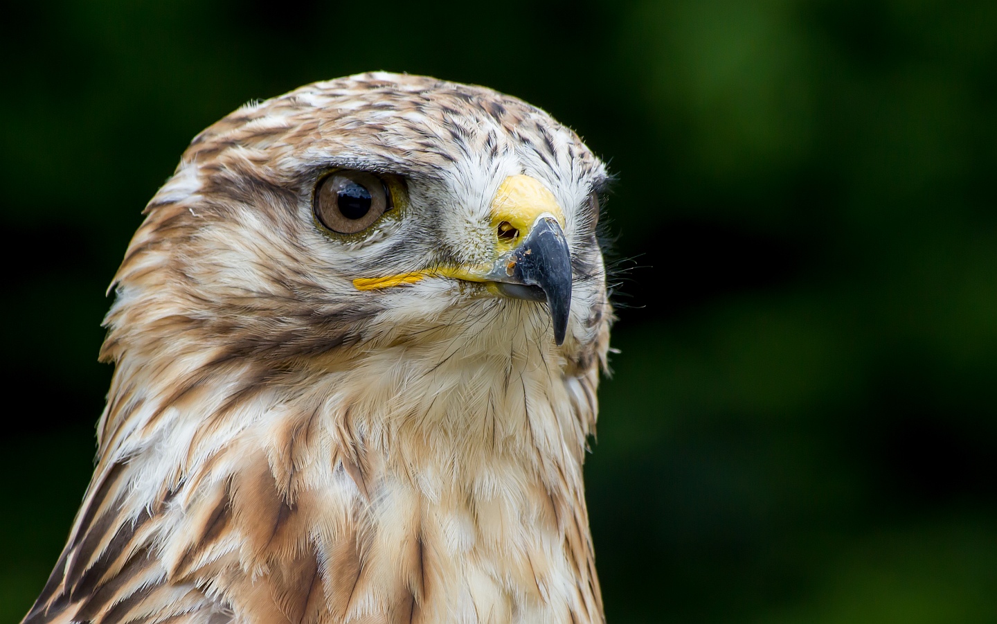 img_1144_2_nb_klein-jpg.295728