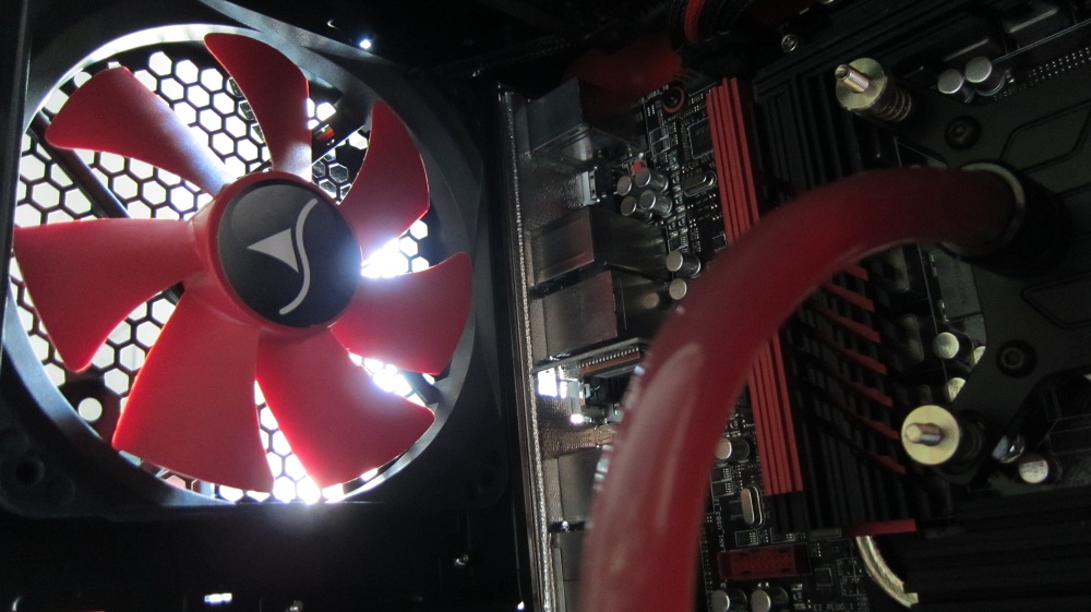 img_1150-1000px-jpg.293657