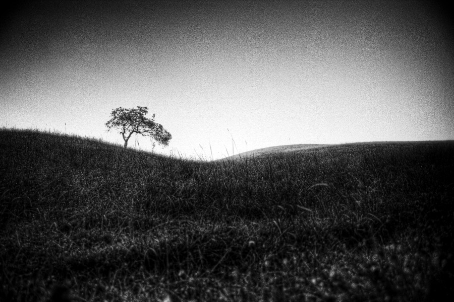 img_1480_79_81-jpg.156437