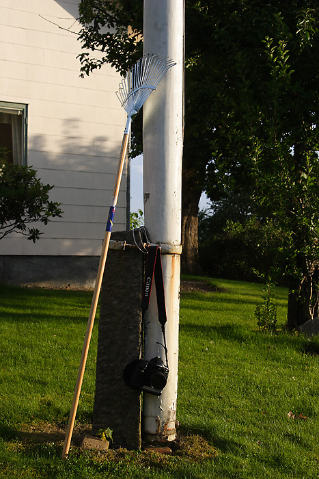 img_1902s-jpg.128505