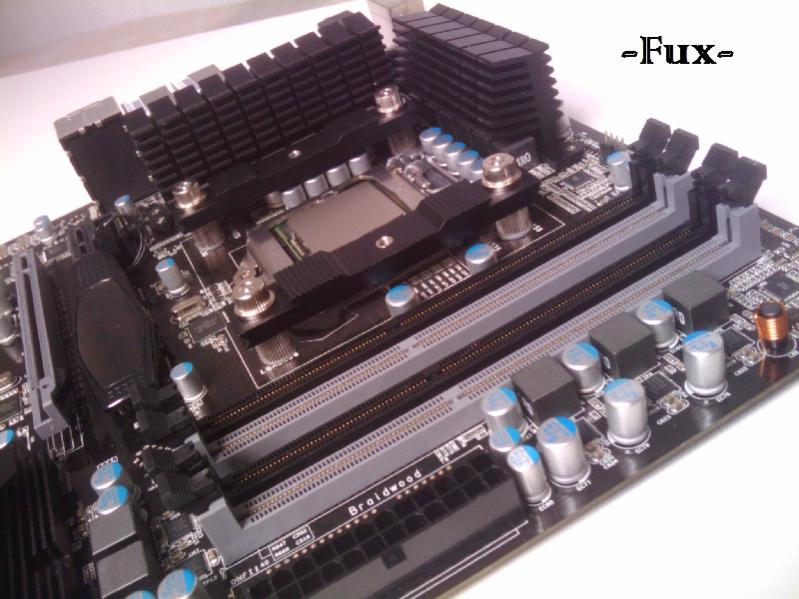 img_20100729_173533-jpg.197451