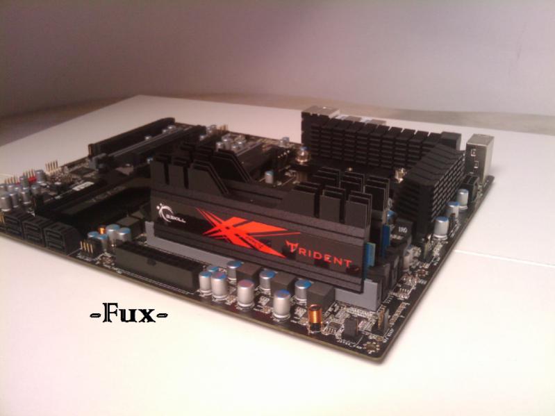 img_20100729_174048-jpg.197452