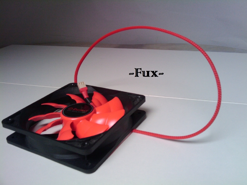 img_20100730_140328-jpg.197453