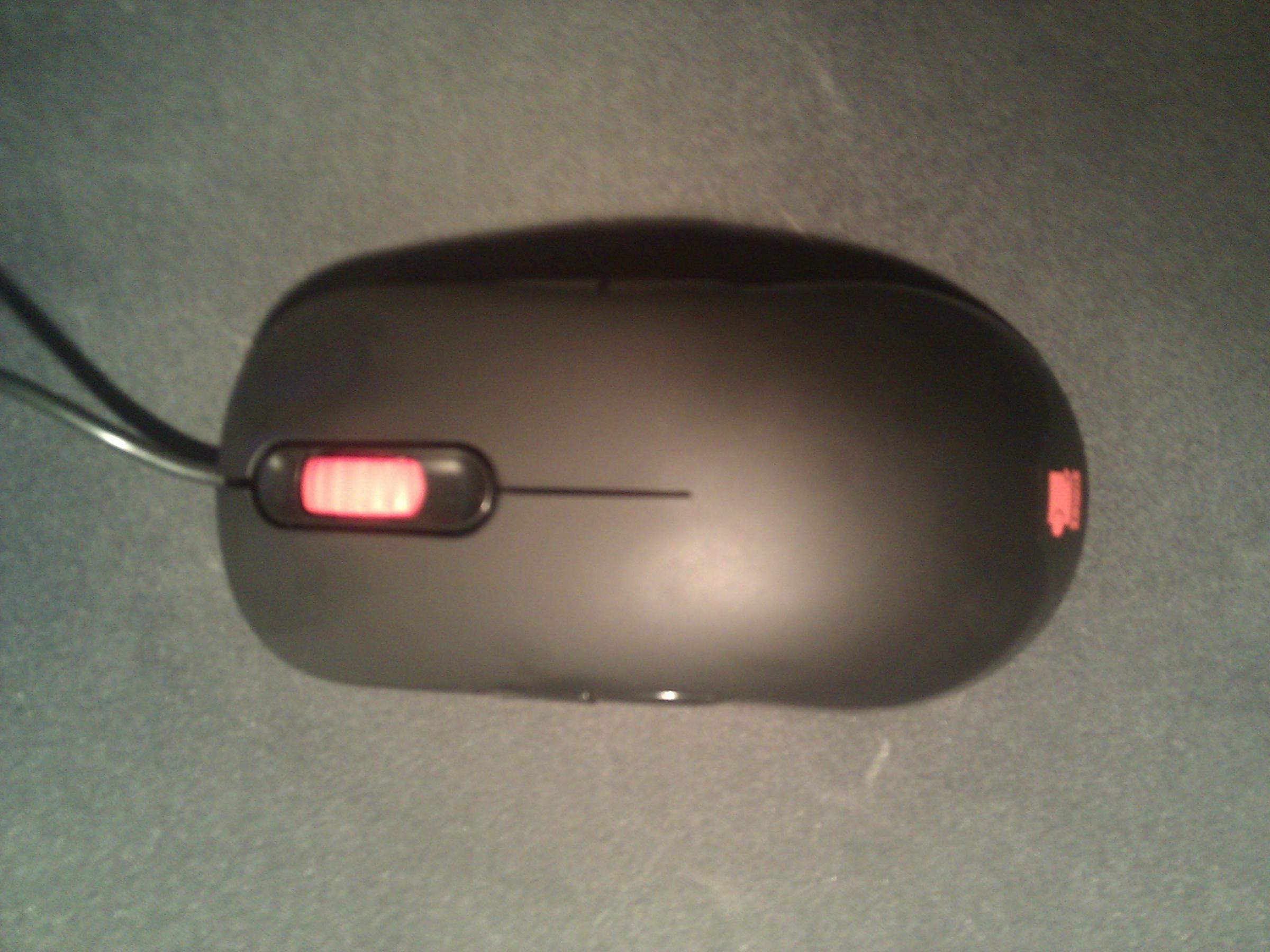 img_20120131_171652-jpg.267347