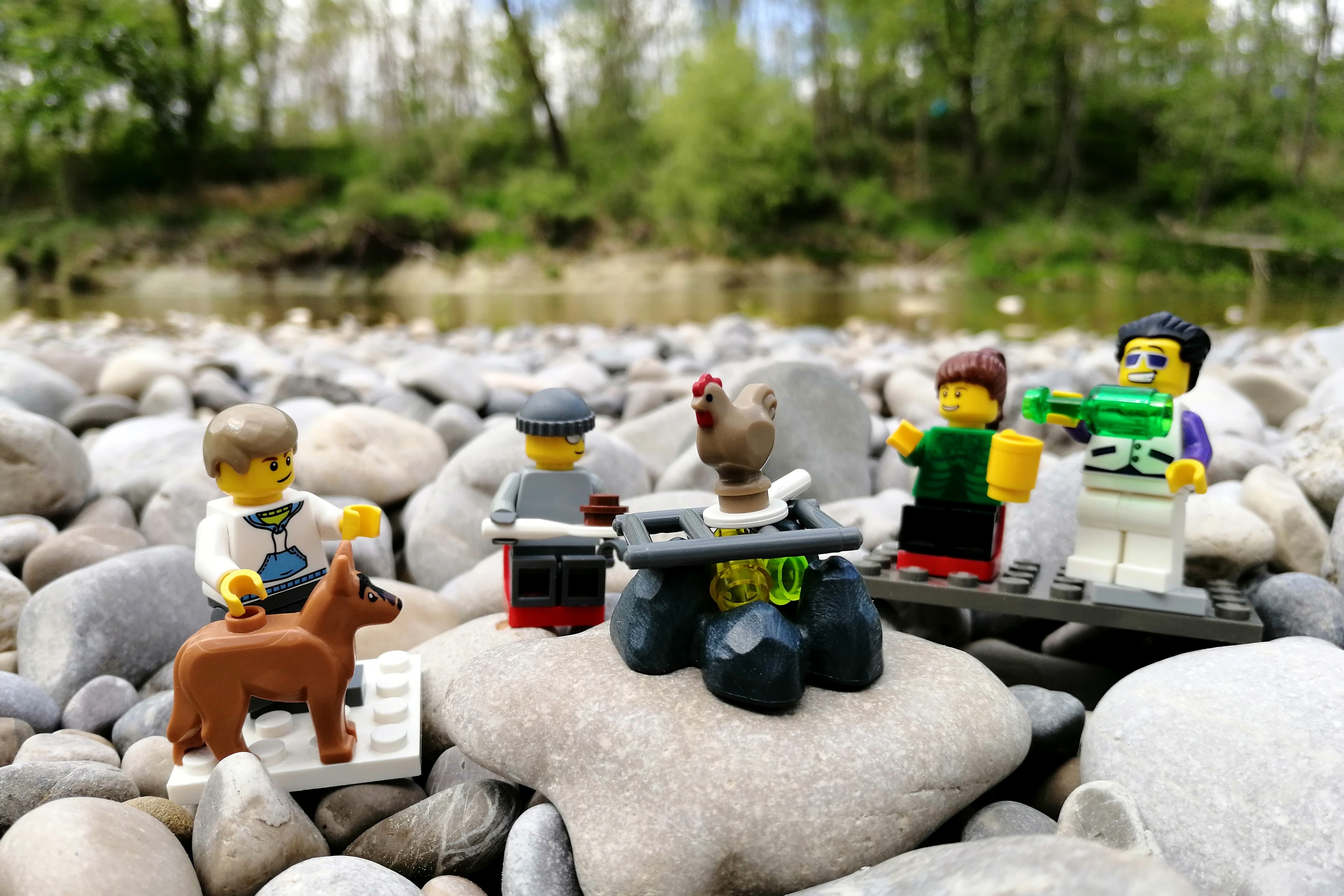 IMG_20200503_120115 -1.jpg