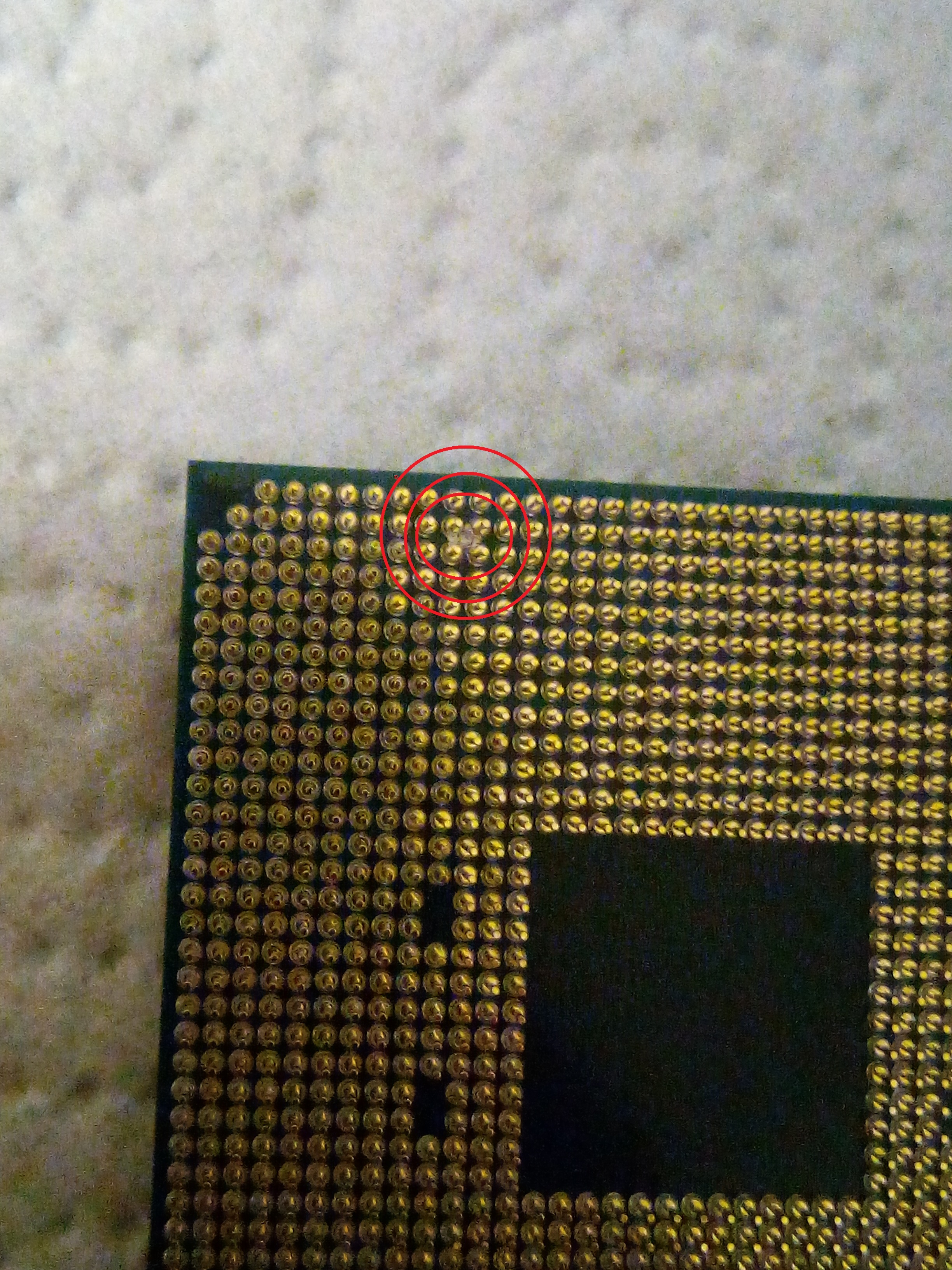 IMG_20201219_164826 (1).jpg