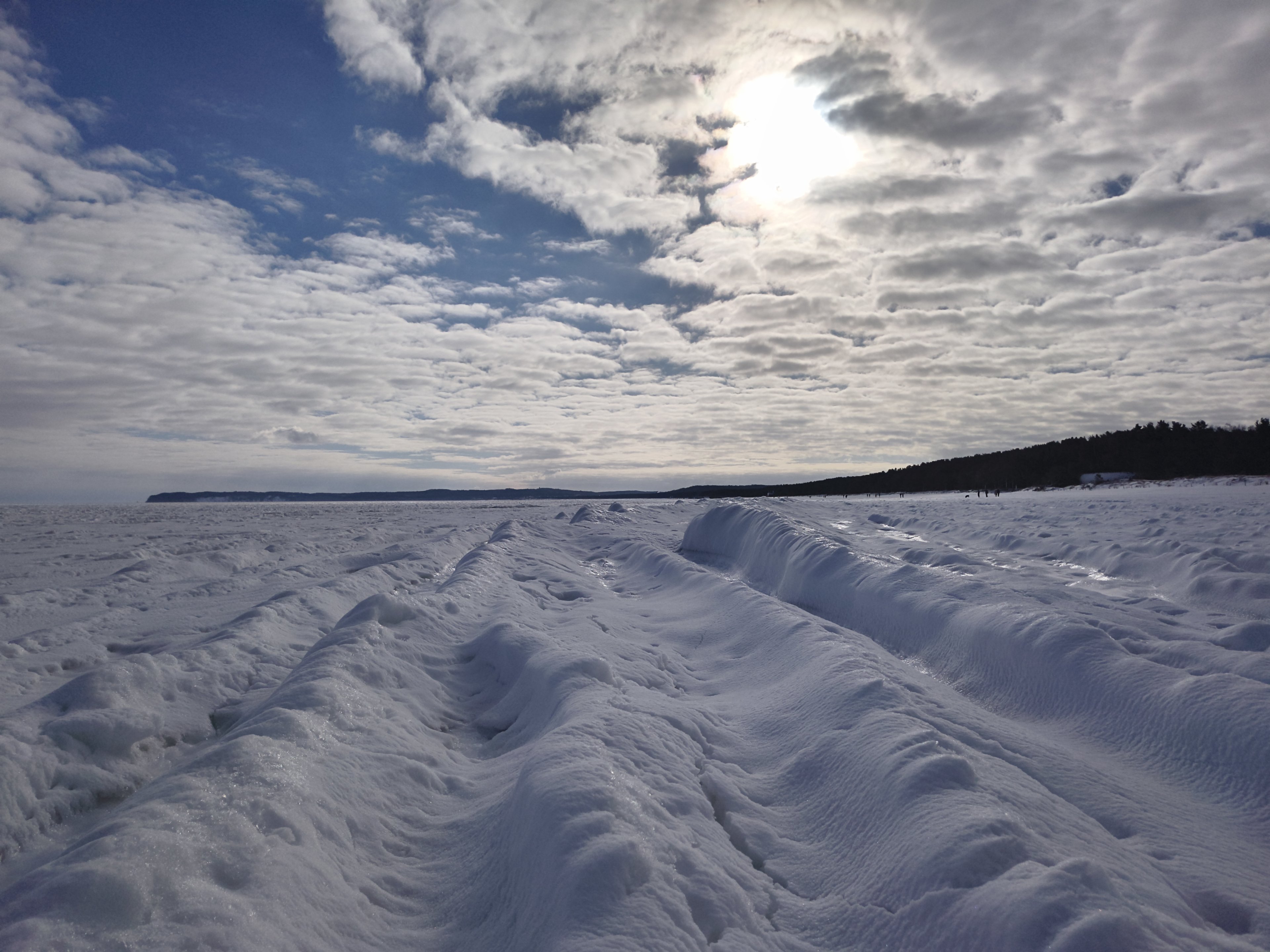 IMG_20260215_115809099 -01.jpg