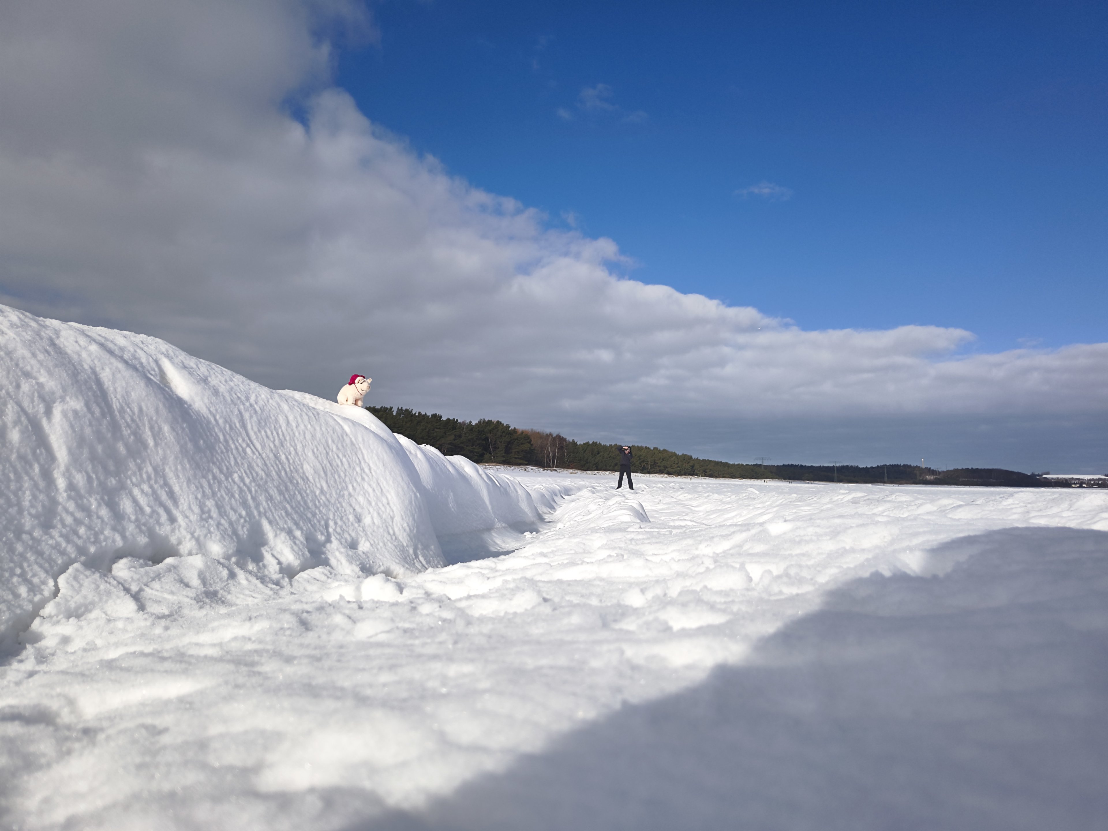 IMG_20260215_120010957 -01.jpg