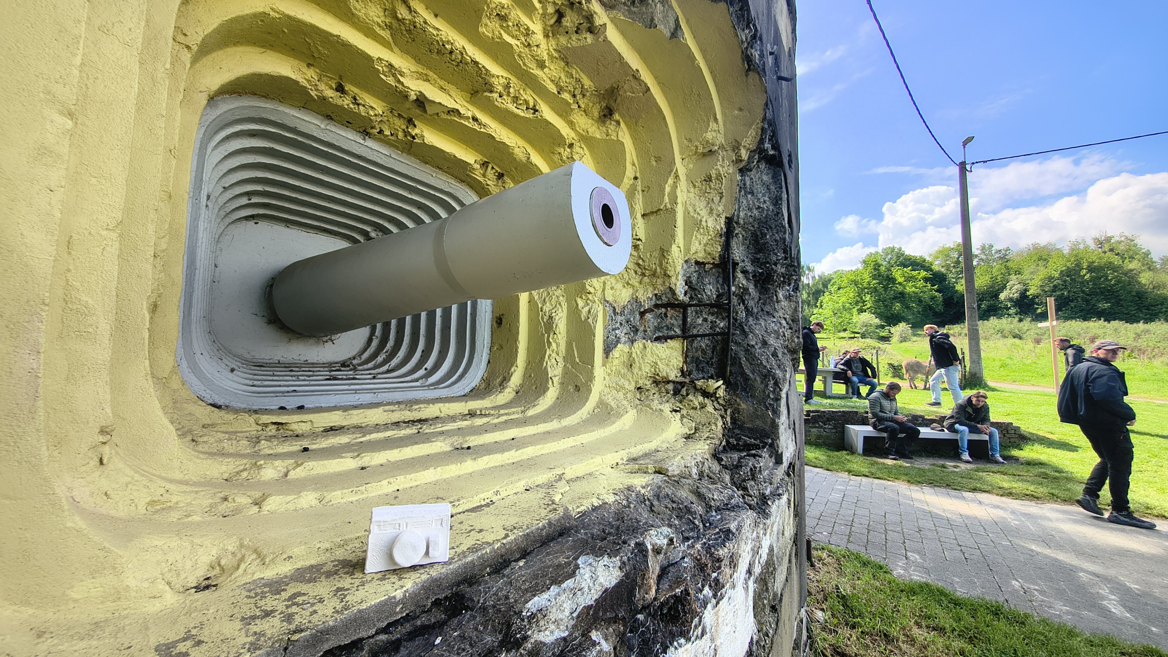 IMG_20260507_112229848_HDR.jpg