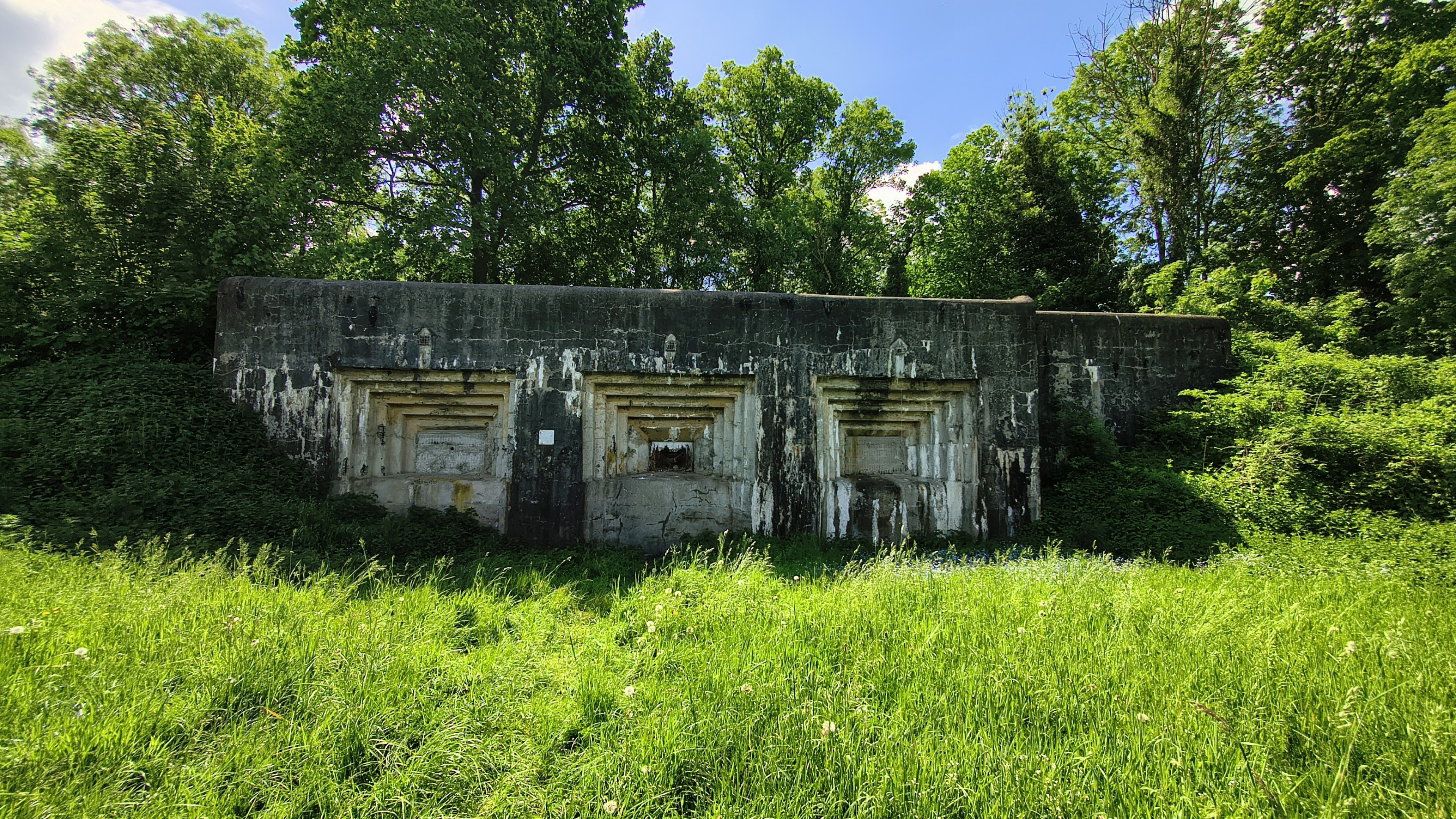 IMG_20260507_122355614_HDR.jpg