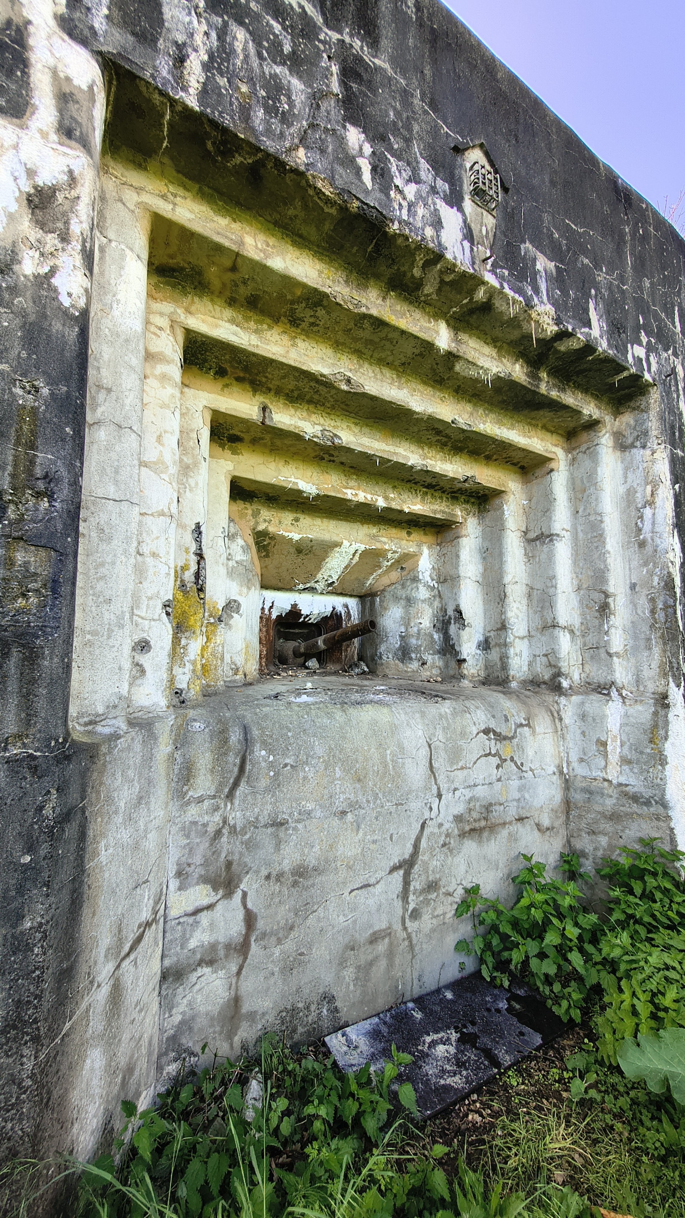 IMG_20260507_122435267_HDR.jpg