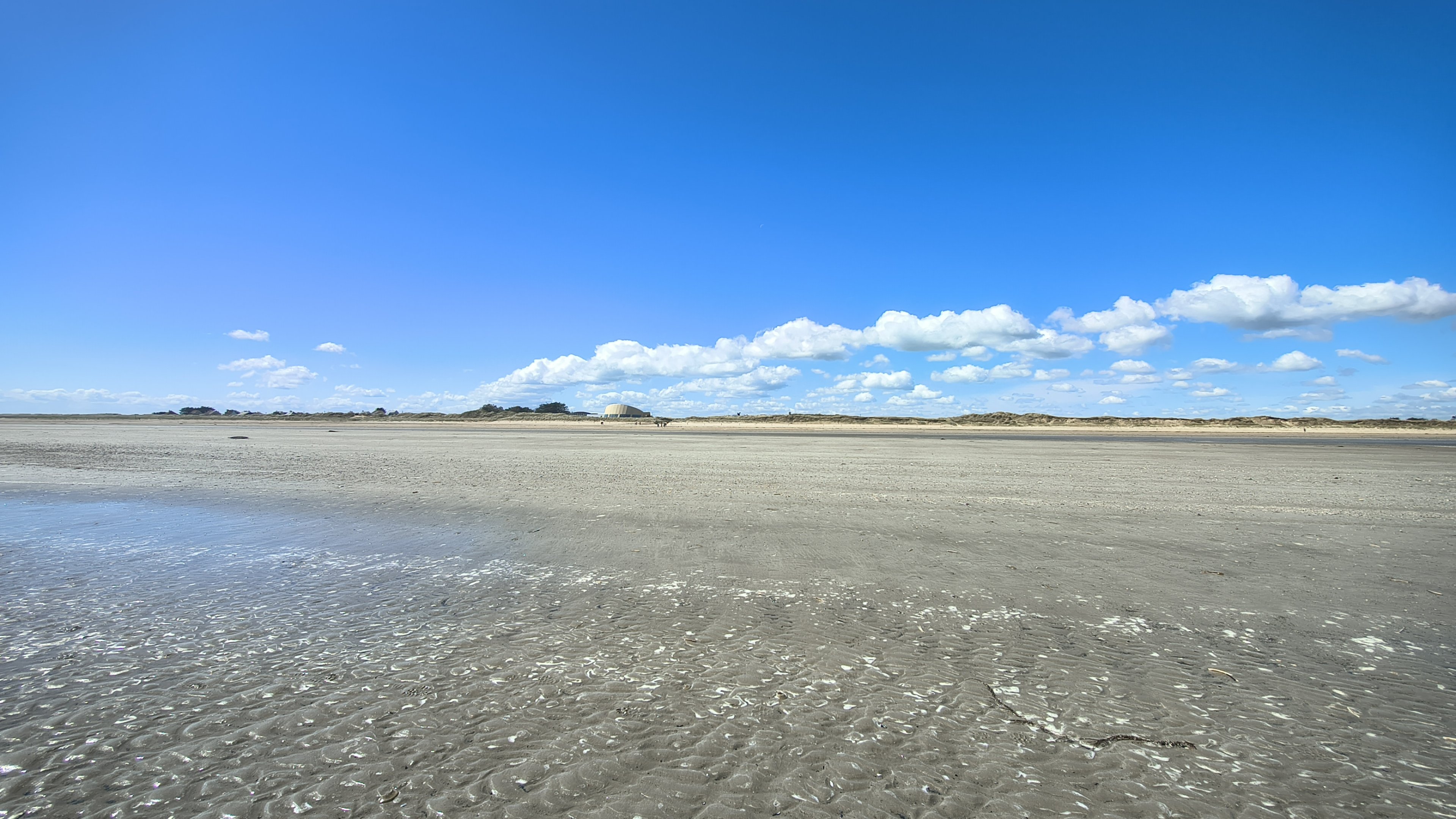 IMG_20260511_121925771_HDR.jpg