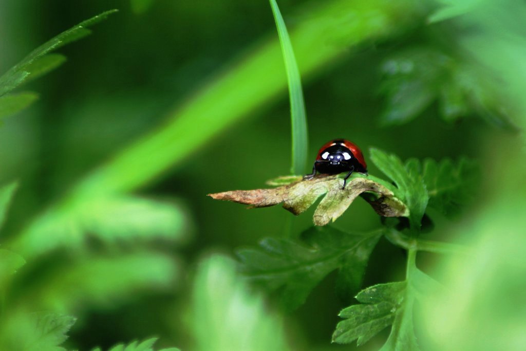 img_2881_klein-jpg.288333