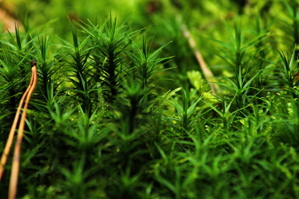 img_3082_klein-jpg.289572