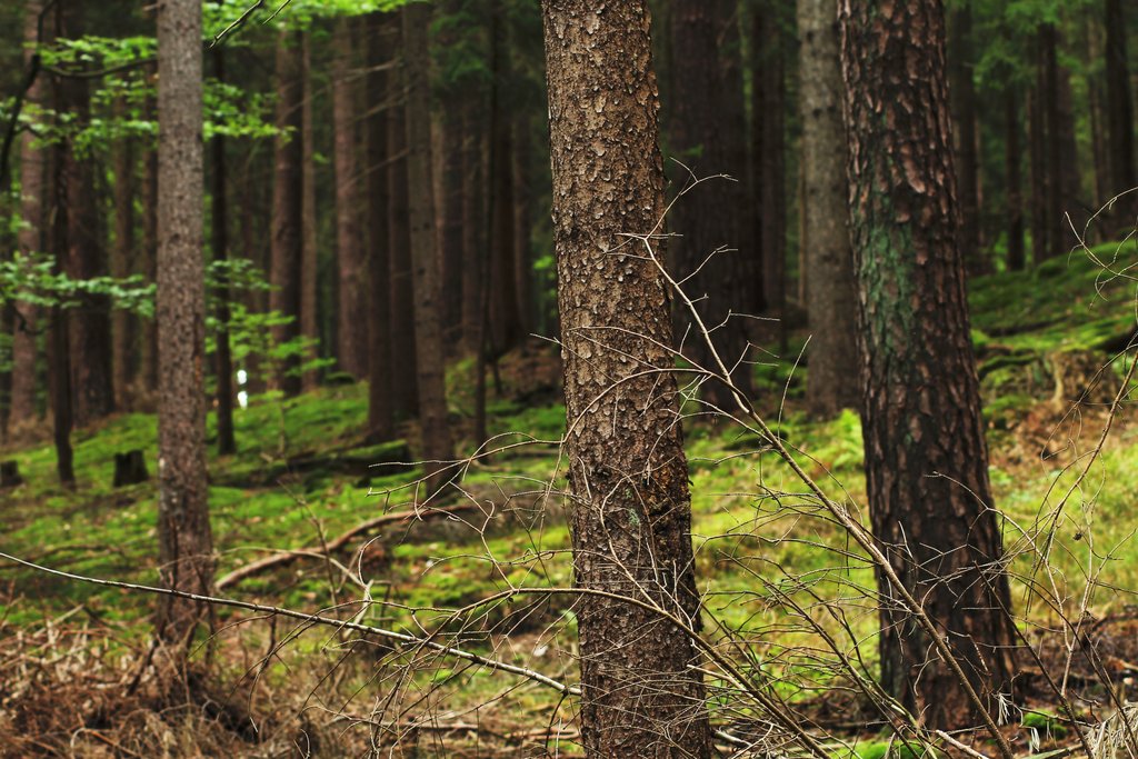 img_3087_klein-jpg.289573