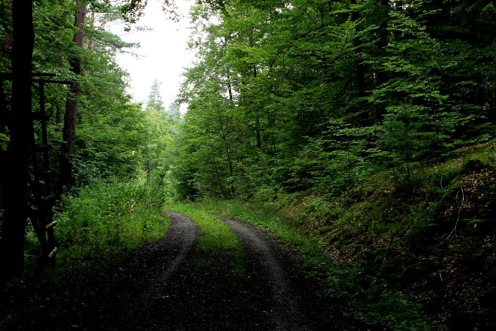 img_3092_klein-jpg.289574