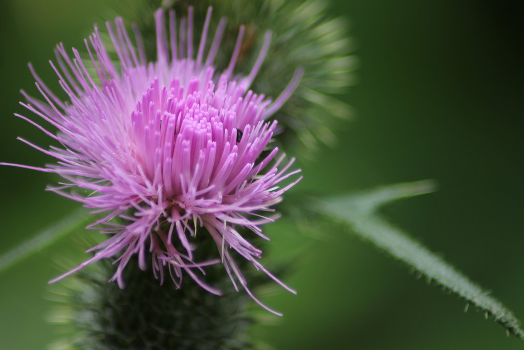 img_3175_klein-jpg.290764