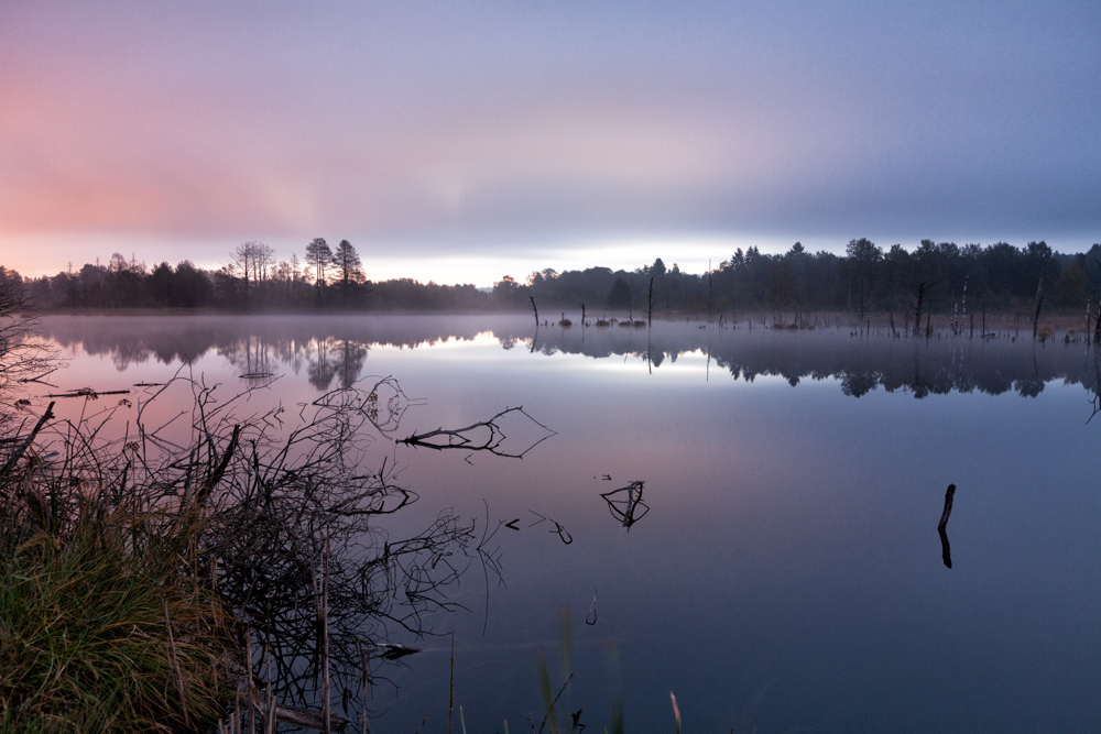 img_3729-bearbeitet-1-jpg.368936