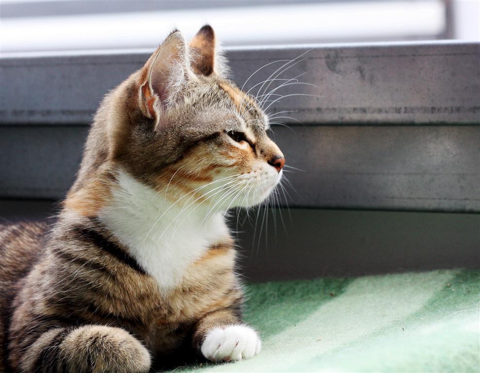 img_5318-mittel-jpg.285924