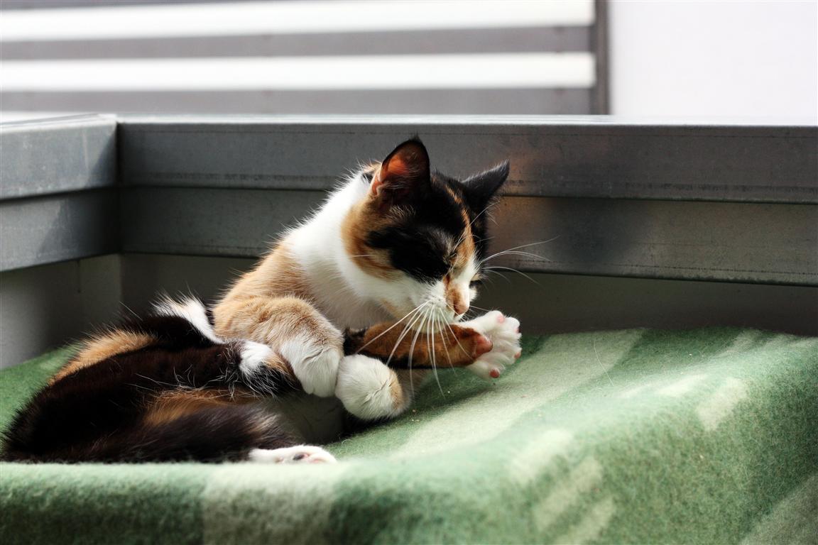 img_5349_sw-mittel-jpg.285923