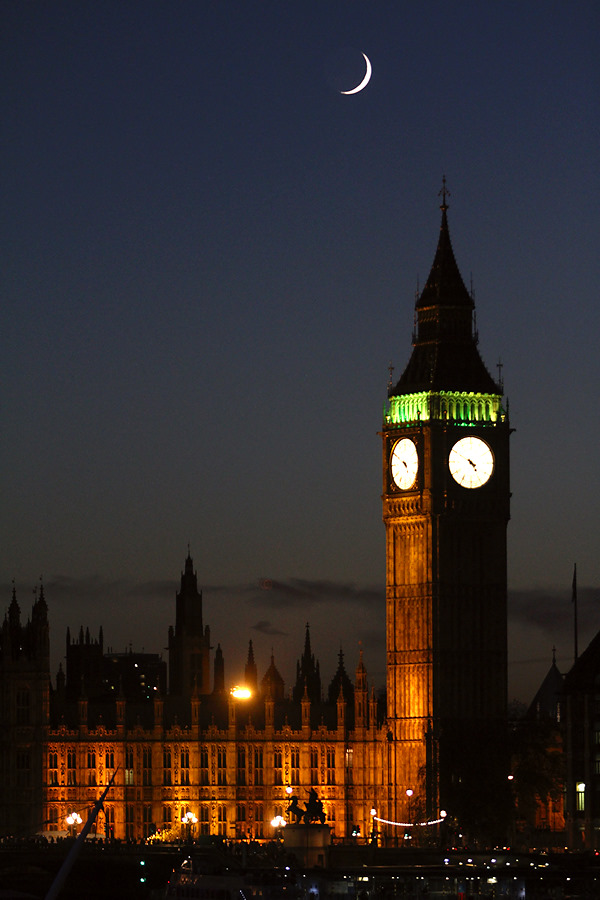 img_6454_s-jpg.258721