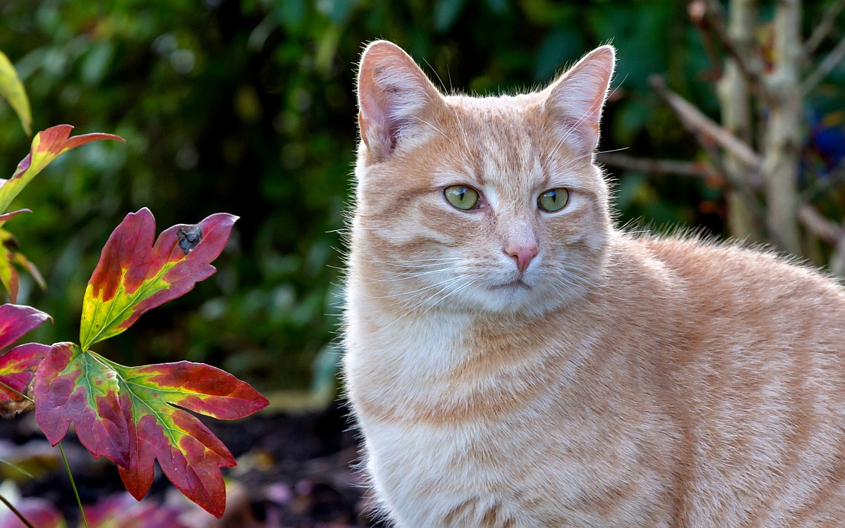 img_6629_nb_dslr-jpg.315407