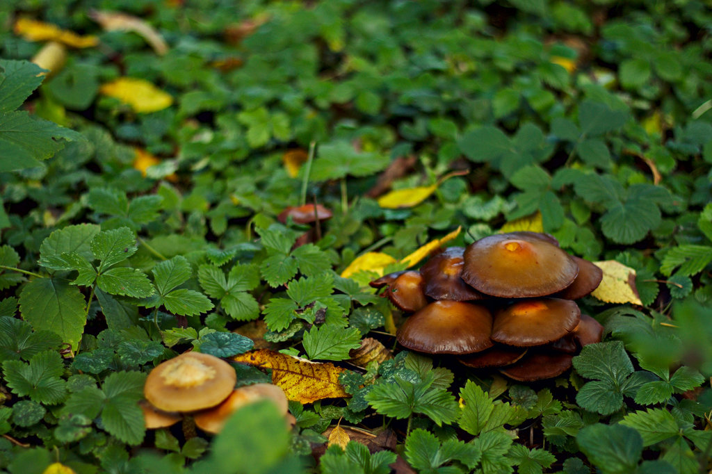 img_6849_klein-jpg.302830