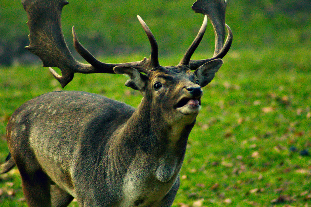 img_7069_klein-jpg.302831