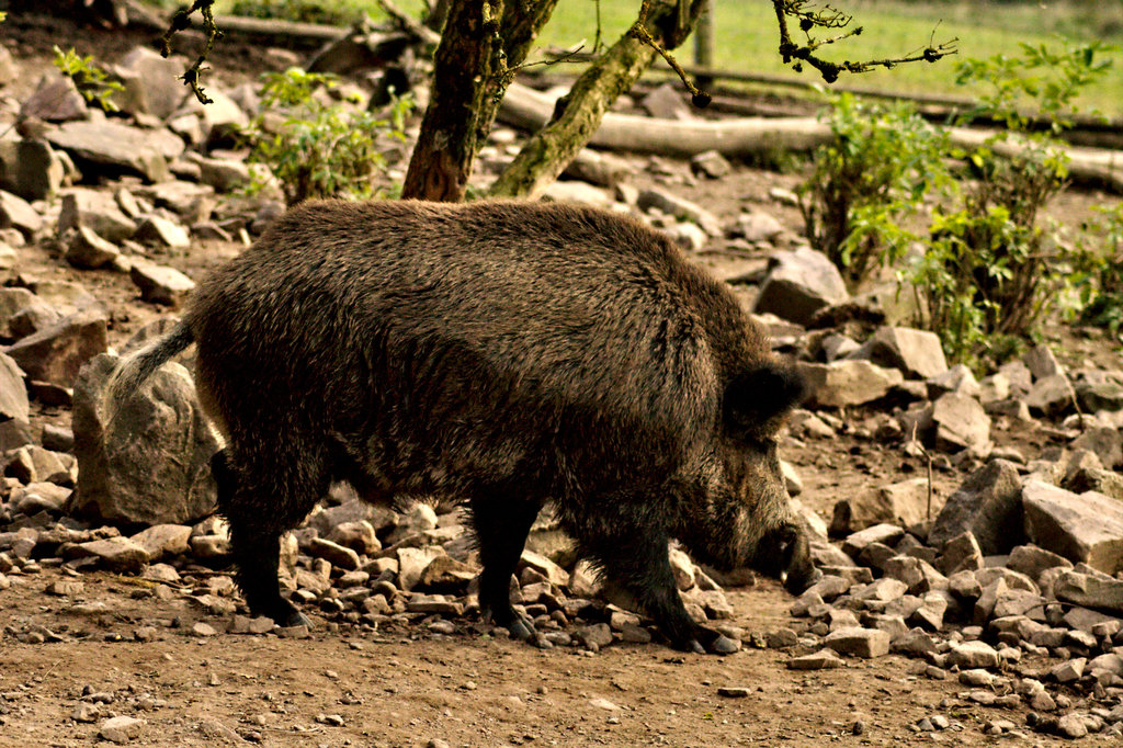 img_7075_klein-jpg.302832