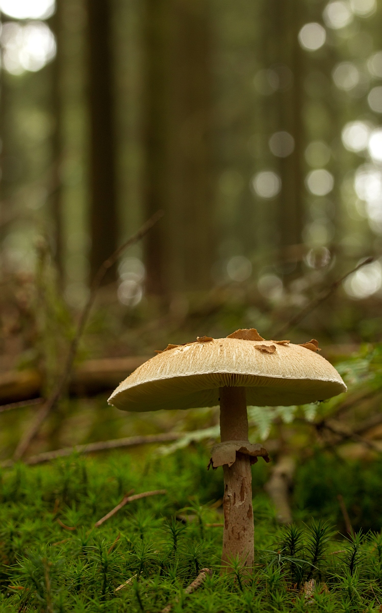 img_7102_nb_klein-jpg.305878