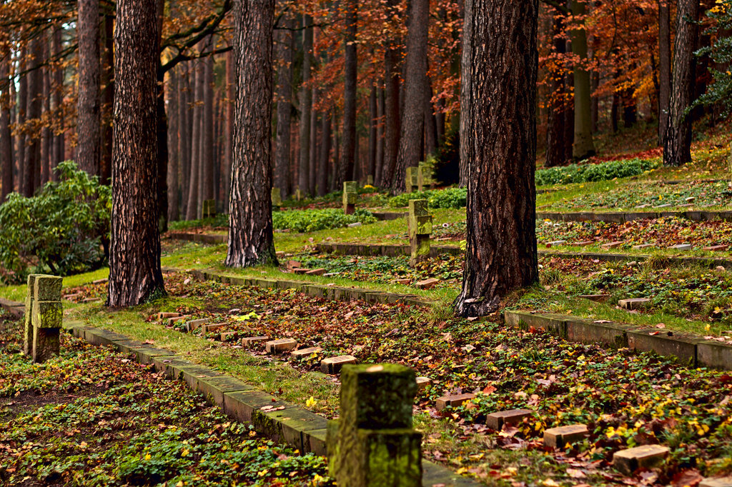 img_7187_01_klein-jpg.305652