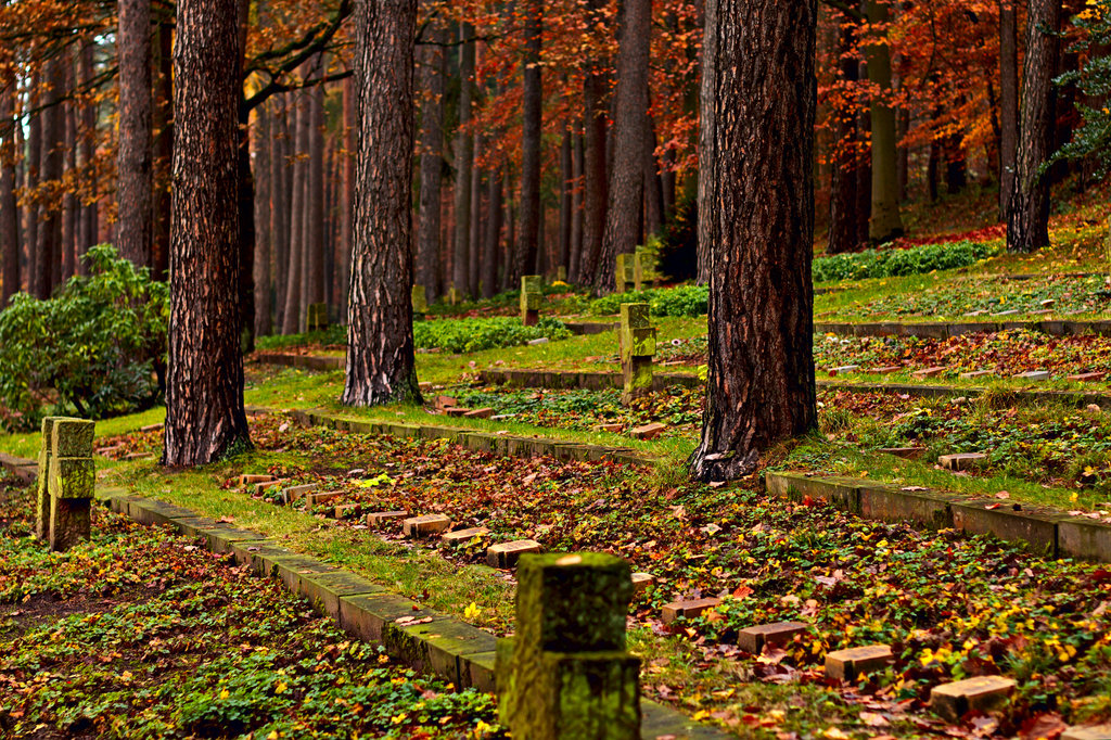 img_7187_klein-jpg.305317