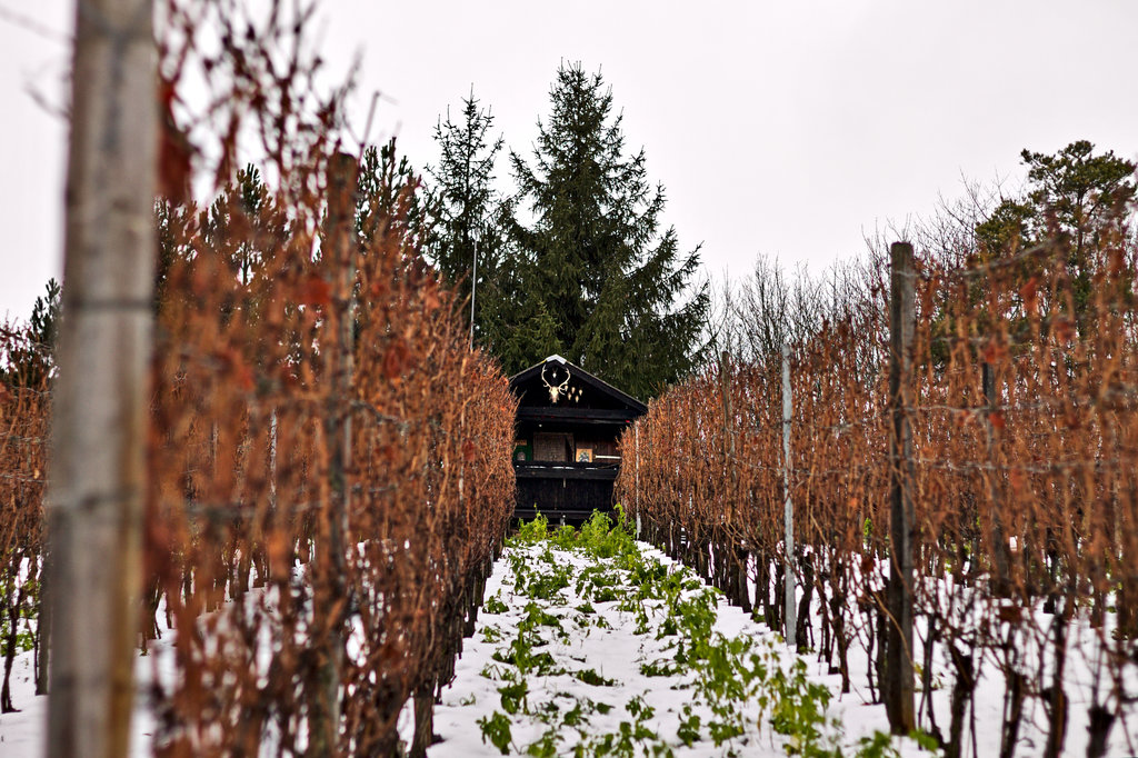 img_7759_klein-jpg.309023