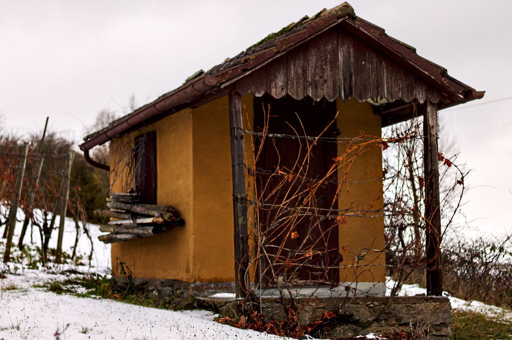 img_7761_klein-jpg.309024