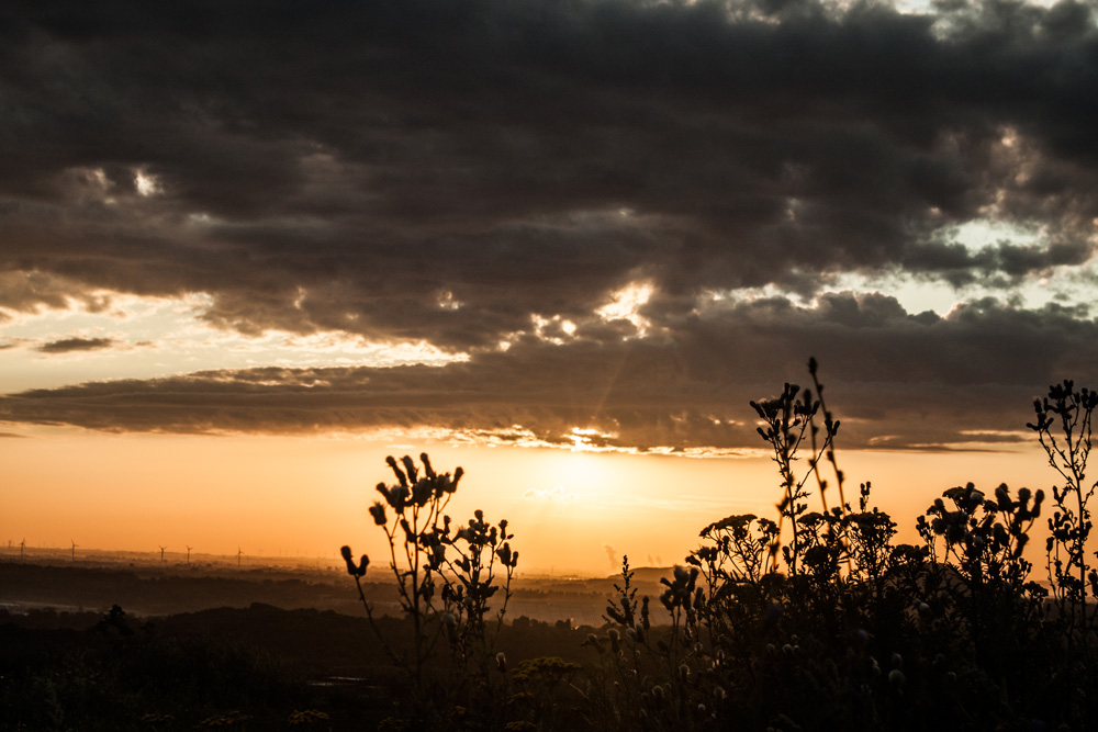 img_8360b-jpg.292975