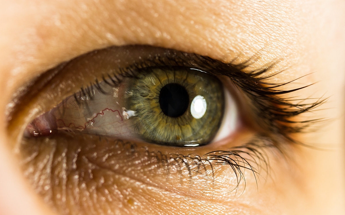 img_8490_nb_dslr-jpg.318554