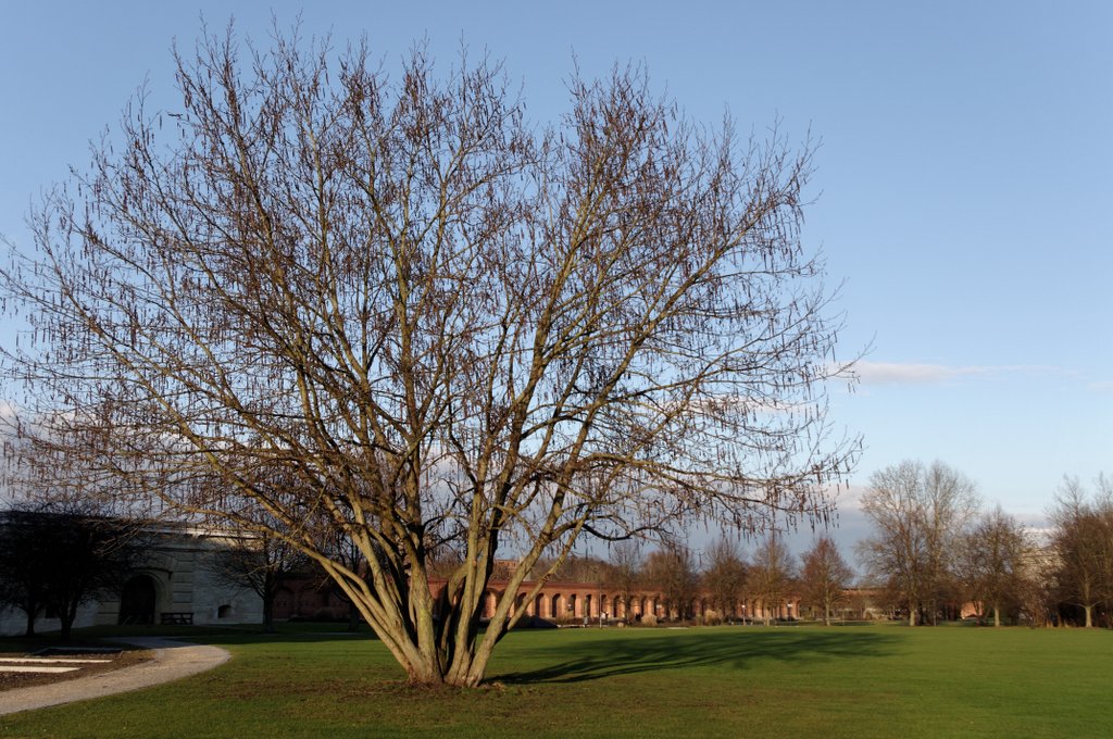 imgp0072-001-jpg.261556