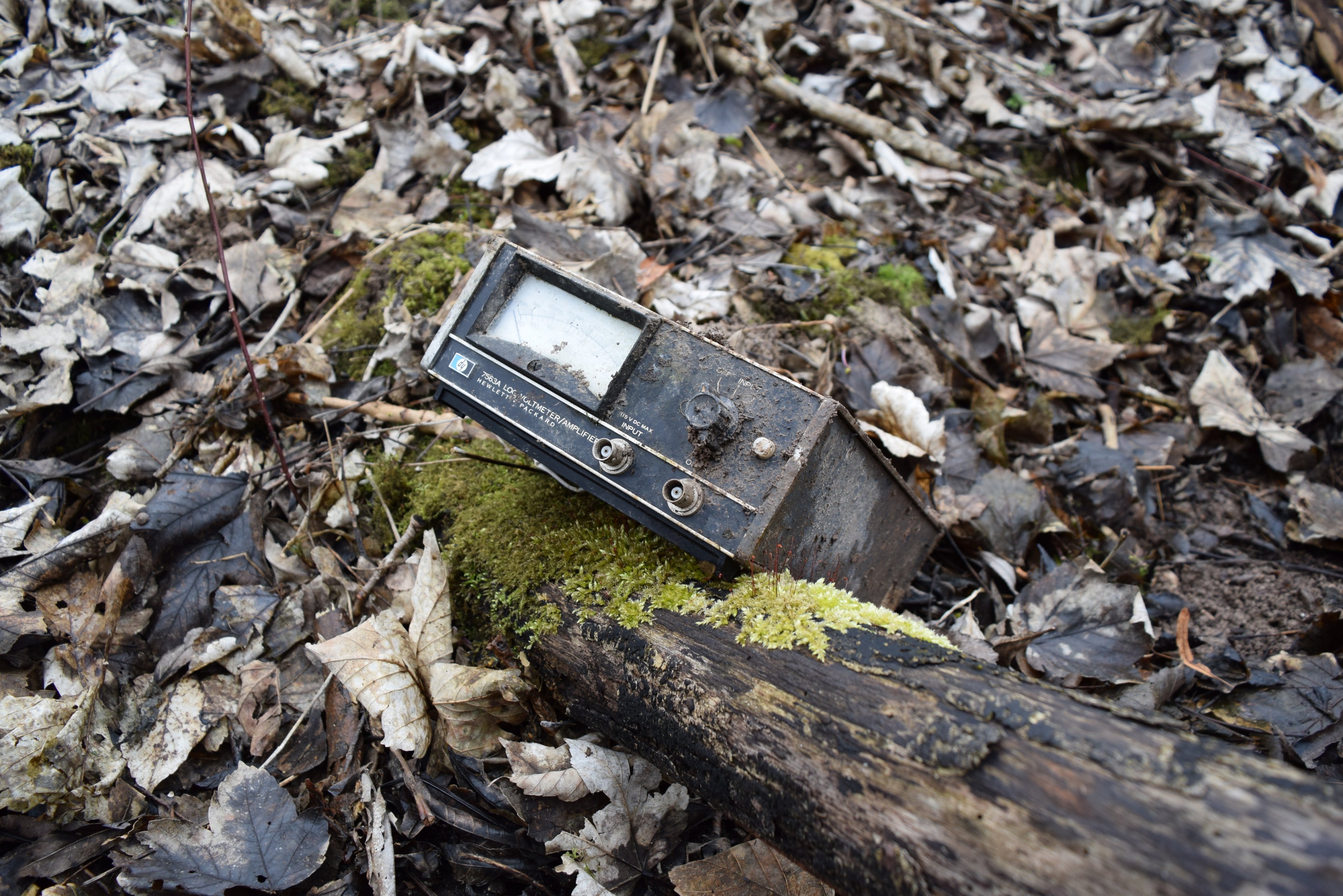 Isar Wald Pioniere (42).JPG