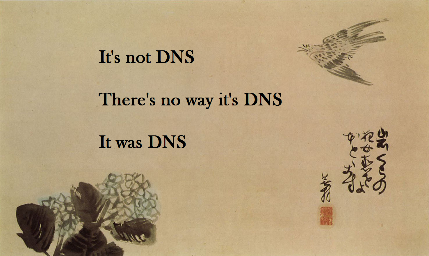 it-was-dns.png