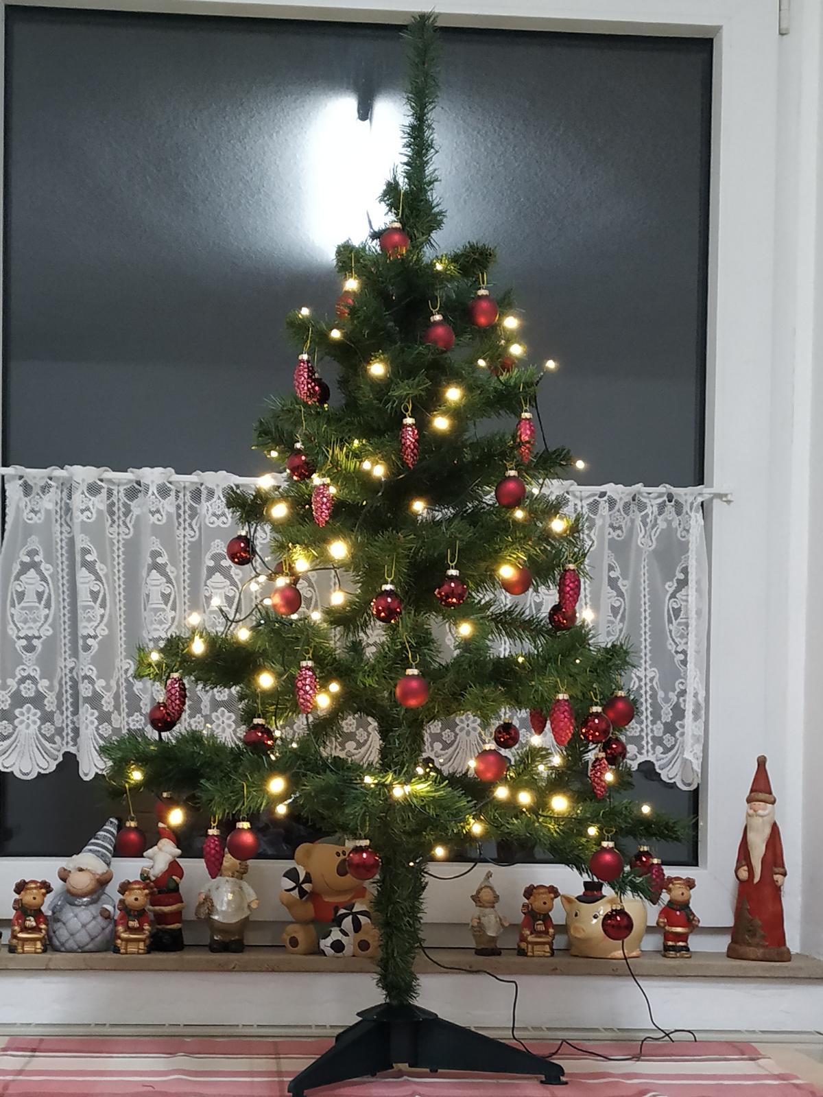 K1600_xmasbaum.JPG