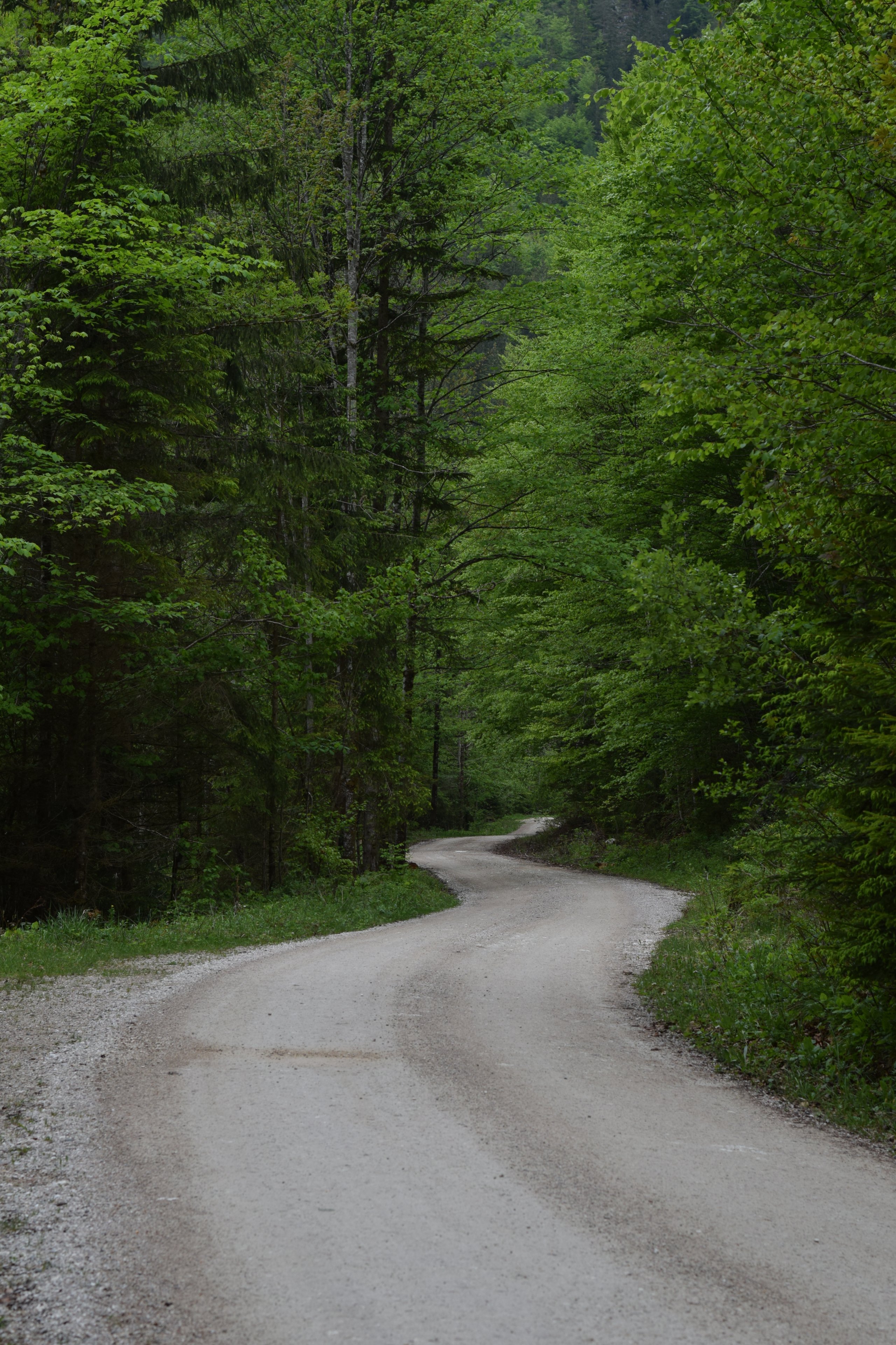 Kaiserklamm 2025-05 (6).JPG