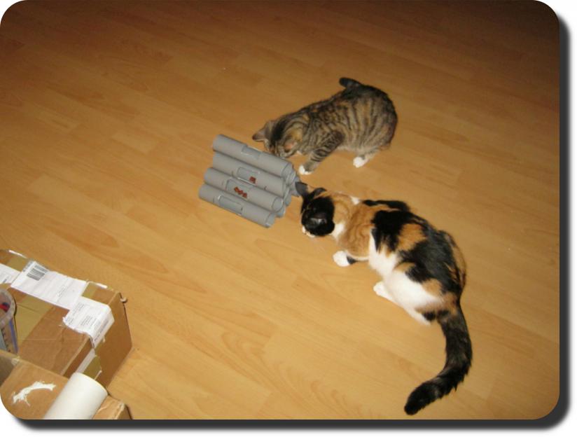 katzenfummelpyramide-jpg.241004