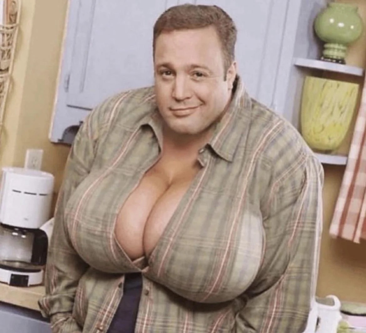 kevin james deepfake.jpeg