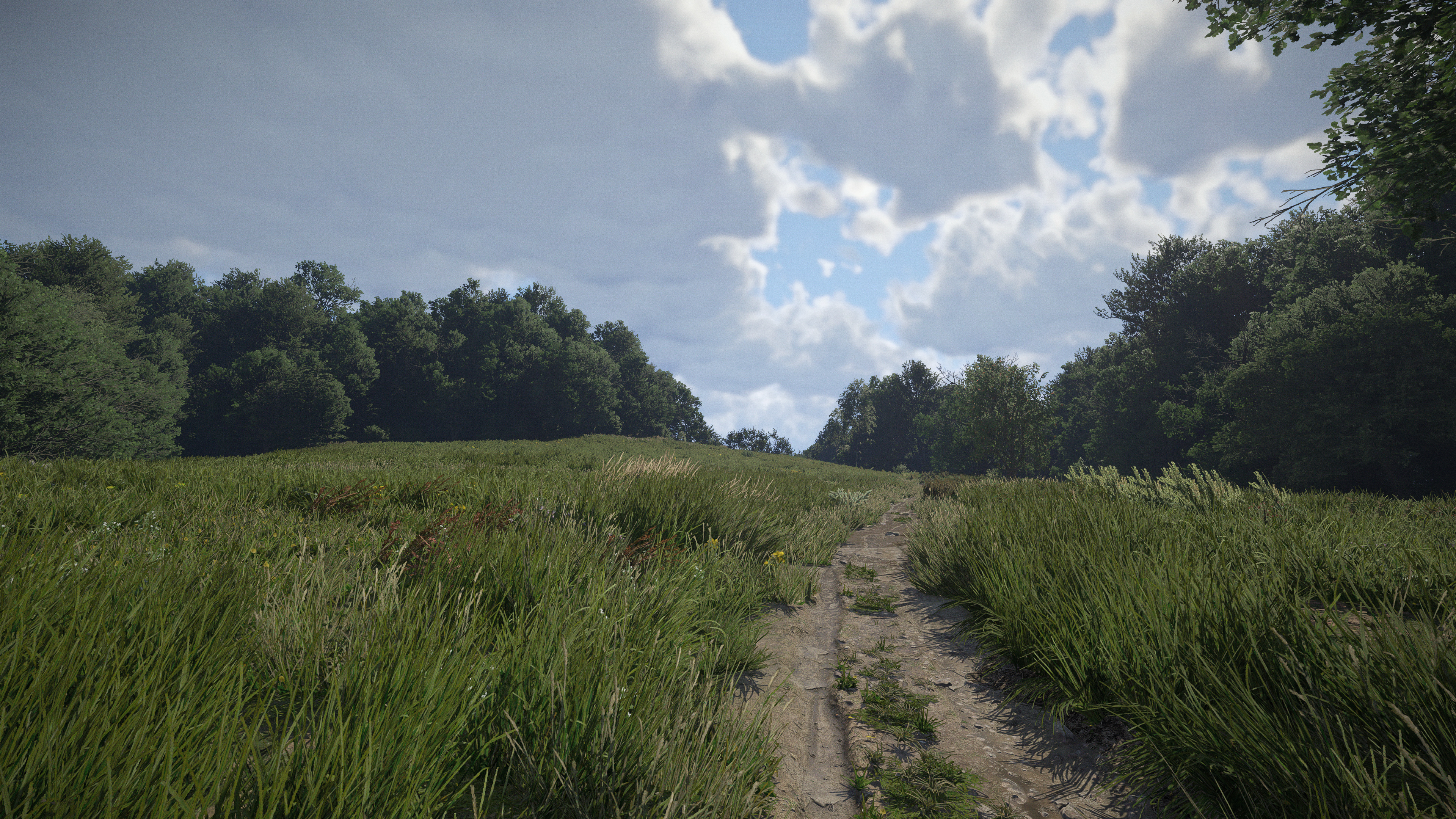 KingdomCome 2026-01-31 16-16-53_229.jpg