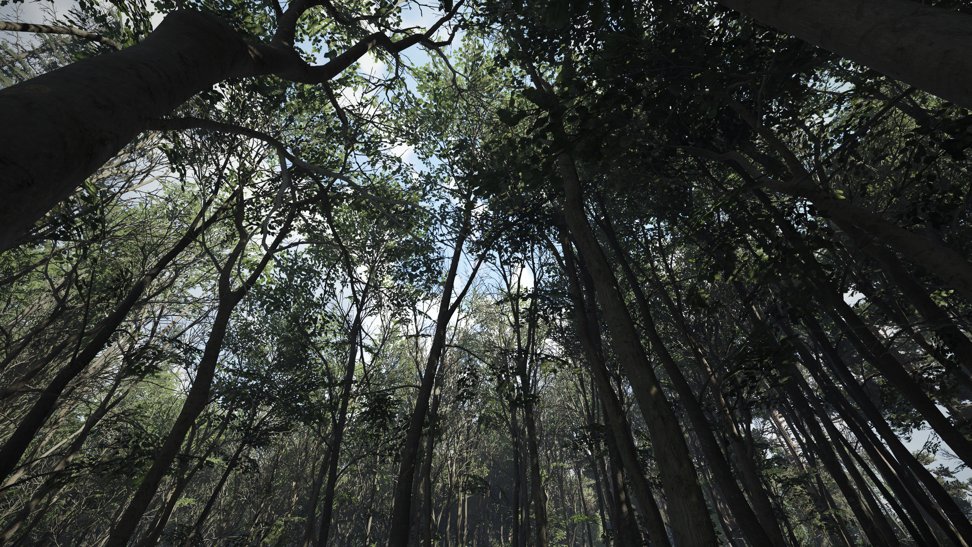 KingdomCome 2026-02-04 21-04-42_954.jpg