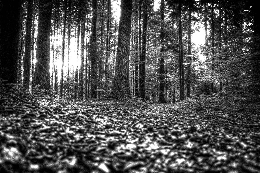 kopie-vonimg_1494_6_5-jpg.157408